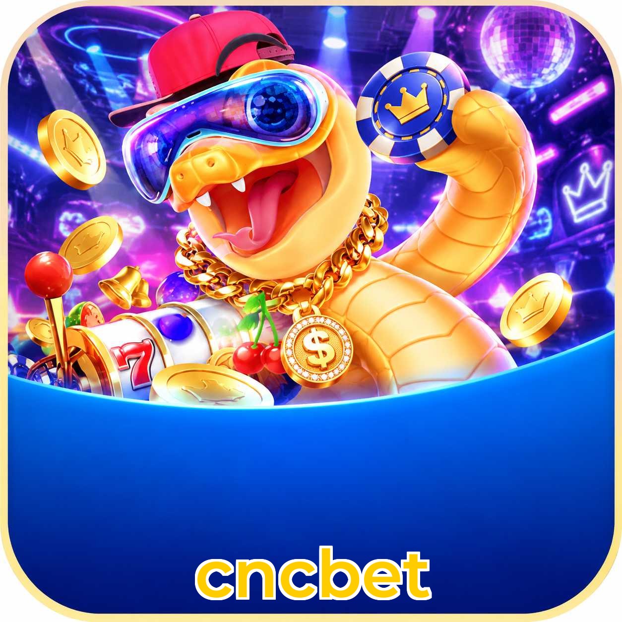 cncbet Facebook Support