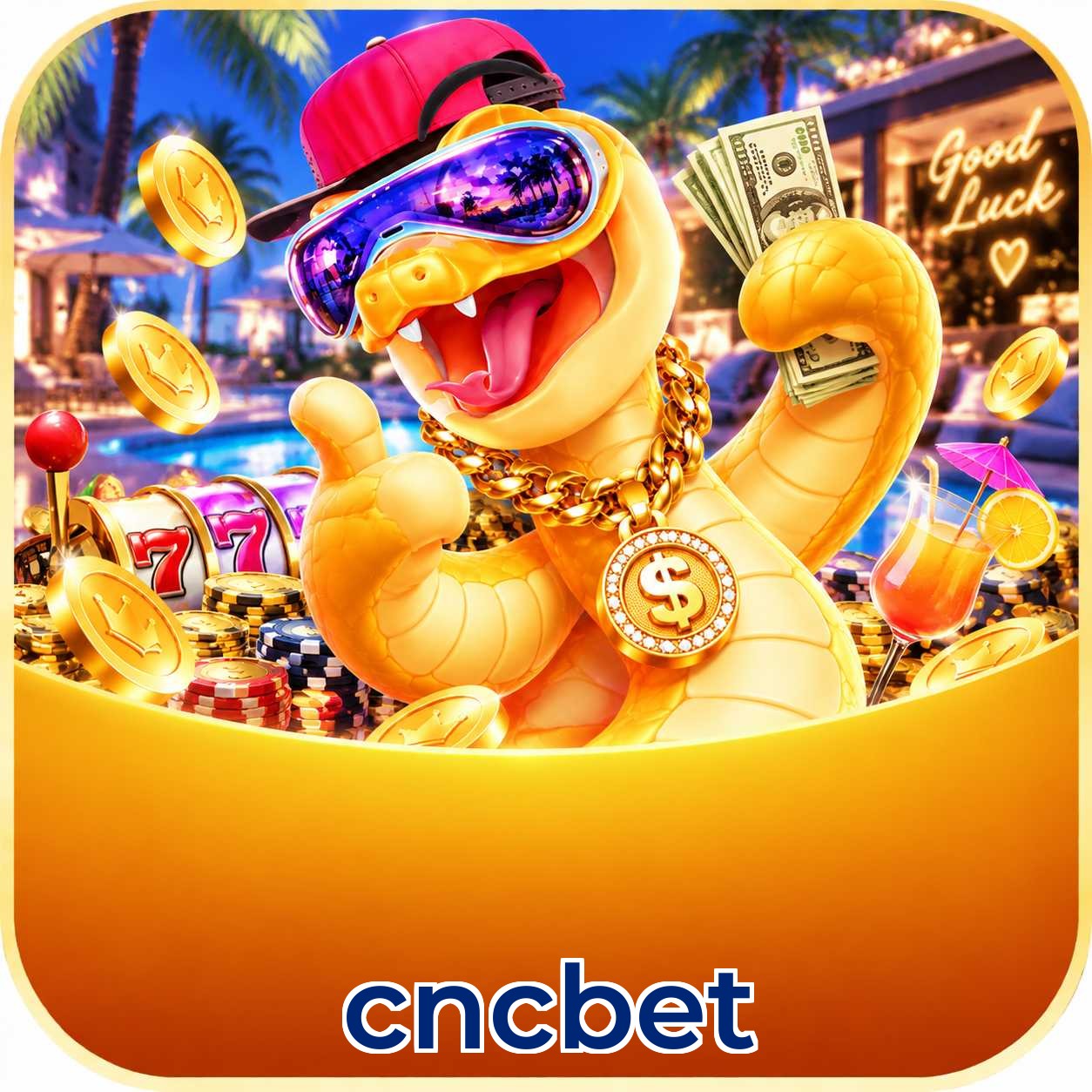 cncbet Avaliações