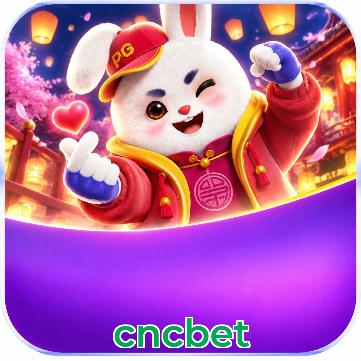 cncbet Live Casino Overview