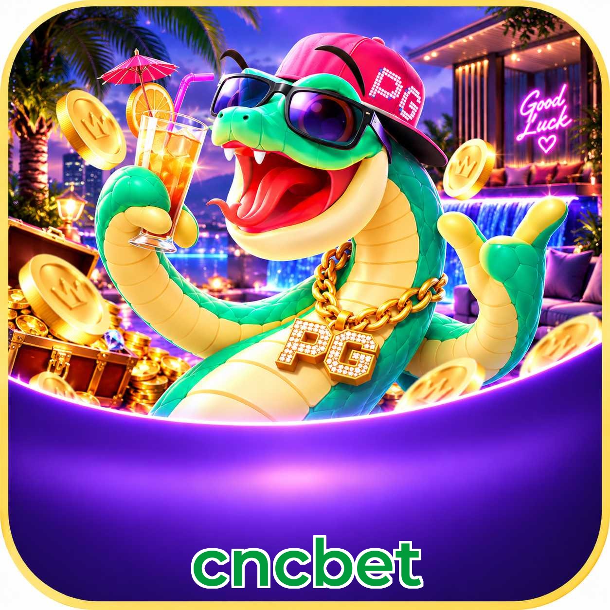 cncbet FAQ instalar app