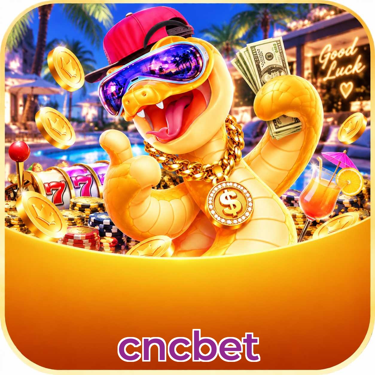 cncbet Live Dealers
